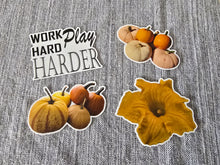 Load image into Gallery viewer, Stickers
