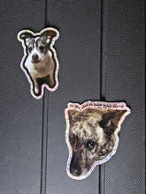 Load image into Gallery viewer, Stickers
