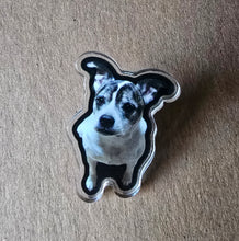 Load image into Gallery viewer, Pins
