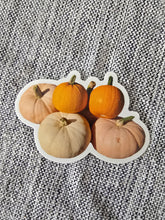 Load image into Gallery viewer, Stickers
