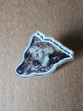 Load image into Gallery viewer, Pins

